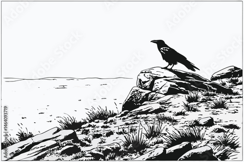 94 Black and white photography, lone crow, rocky outcrop, desolate landscape, barren horizon, stark contrast, minimalist composition, textured stone, desert-like terrain, monochrome aesthetic, detaile