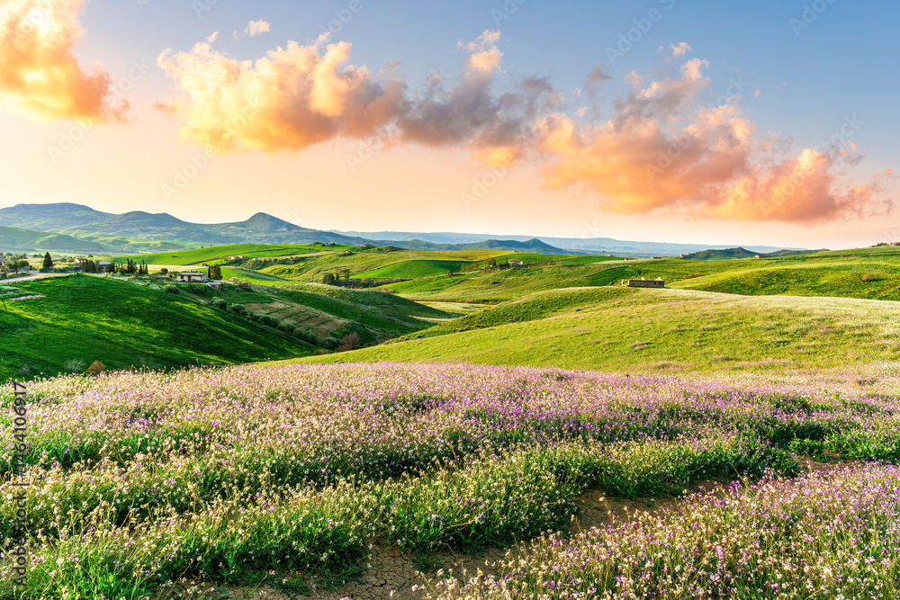 Naklejka premium Beautiful landscape of green spring season field with salad grass, farm with garden and sunset or sunrise scenic sky