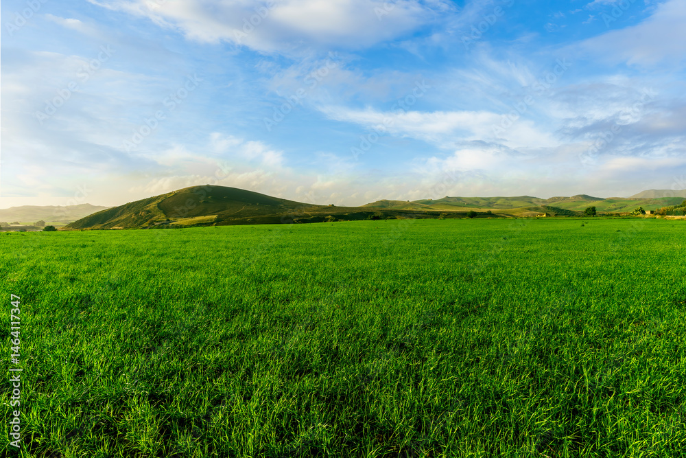Naklejka premium green landscape of spring field with green young grass and amazing hills on background