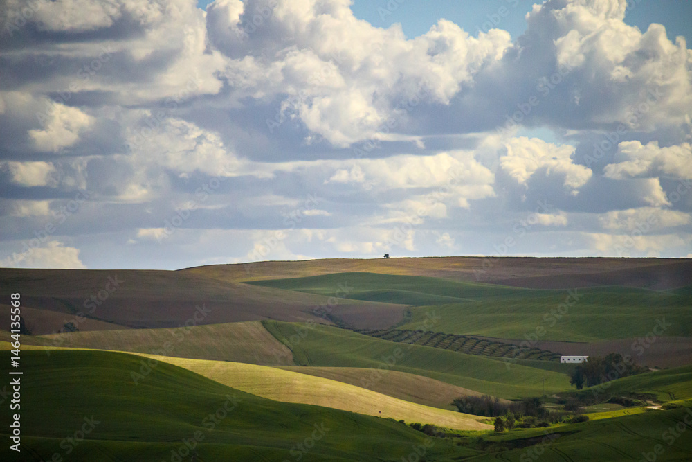 Golden Light Over Andalucía – A Timeless Spanish Landscape Golden Light Over Andalucía – A Timeless Spanish Landscape