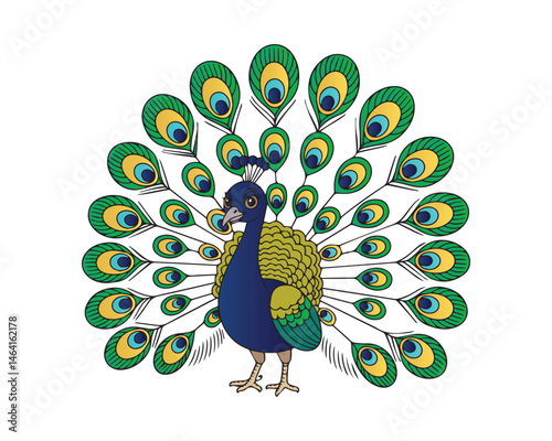 Portrait of beautiful peacock with feathers out.	