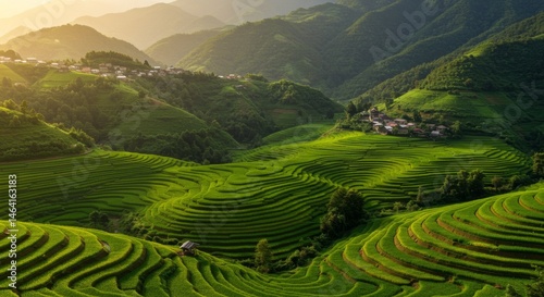 Green Rice Terraces on Lush Hills at Sunset