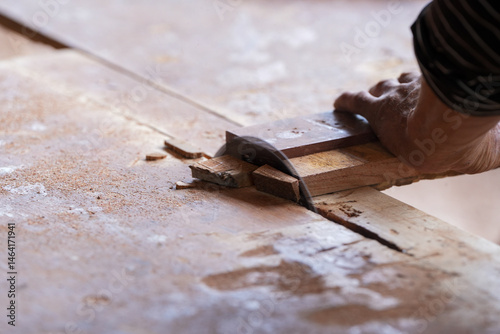 Sawing wood in a wood factory