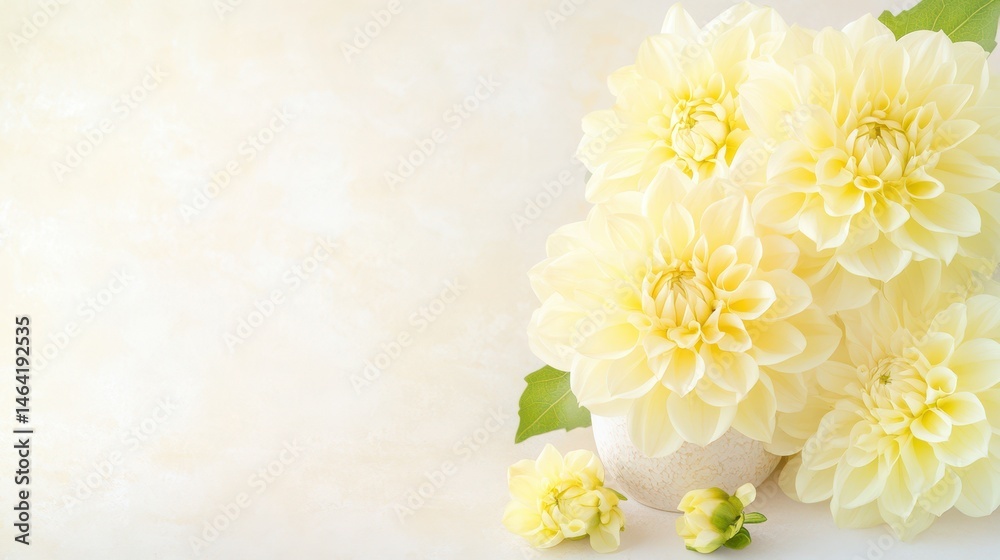 Golden Dahlia: A close-up shot reveals an array of radiant golden dahlias, their delicate petals elegantly displayed in a vase, the blooms radiate a sense of floral freshness.