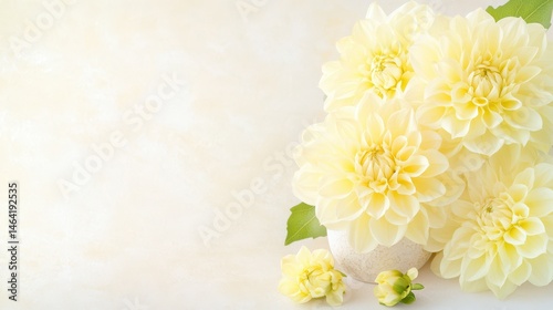 Obraz na płótnie Golden Dahlia: A close-up shot reveals an array of radiant golden dahlias, their delicate petals elegantly displayed in a vase, the blooms radiate a sense of floral freshness. w salonie