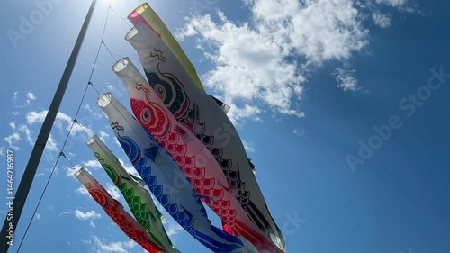 carp streamer
