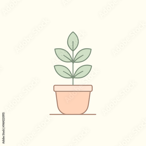 Small green houseplant in a white pot showing new leaf growth