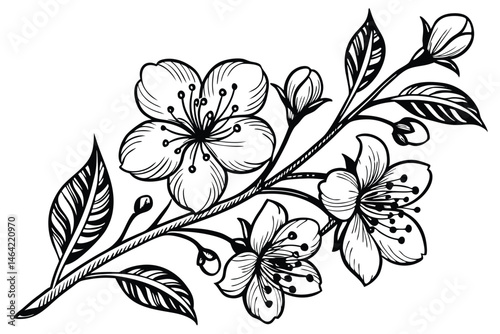 20 Elegant floral illustration, black and white ink drawing, intricate botanical details, symmetrical flower arrangement, delicate petals and leaves, ornate line work, vintage botanical style, decorat
