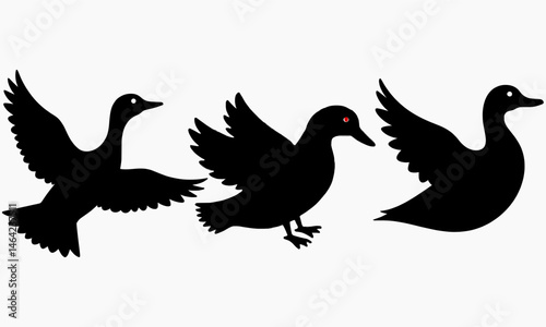 silhouette of pigeons | Silhouettes of Ducks in Flight – Vector Illustration Set | silhouettes of dove|