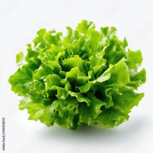 Fresh lettuce isolated on white background, close up shot