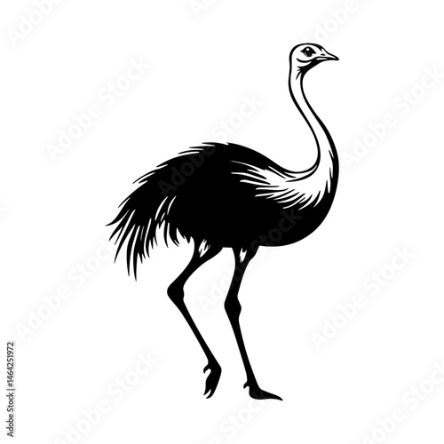 Stylish Ostrich Silhouette: Elegant silhouette of an ostrich, a symbol of freedom and nature's artistry, presented in a clean, graphic style.