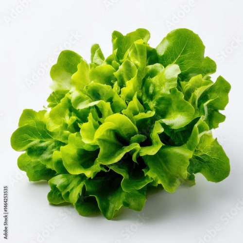 Fresh green lettuce isolated on white background