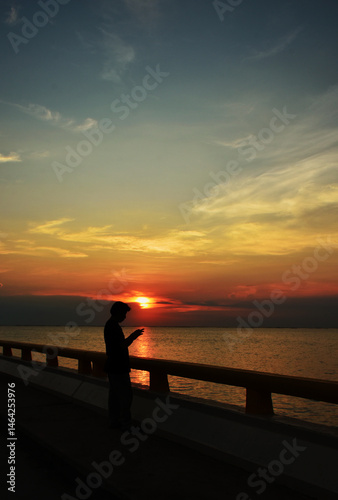 Silhouette of people standing alone and holding to mobile phone for play and update online news in the evening time at sunset down. Majestic sunset cloudscape.