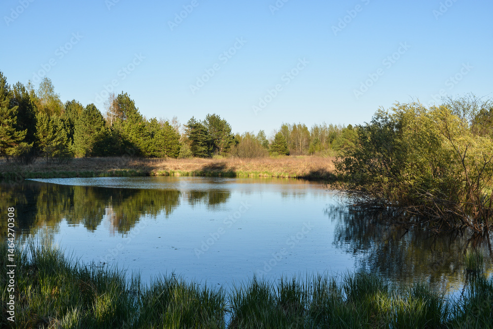 Obraz premium Forest lake in May.