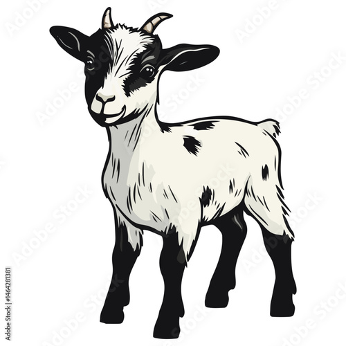 goat, animal, vector, transparent background, farm, mammal, nature, white, livestock, cute, isolated, wildlife, horned, rural, sheep, grass, agriculture