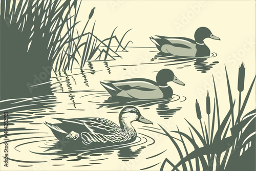 101 Photorealistic painting, three mallard ducks swimming, tranquil pond, rippling water, cattails, reeds, soft lighting, muted colors, wildlife illustration, detailed feathers, reflections on water s