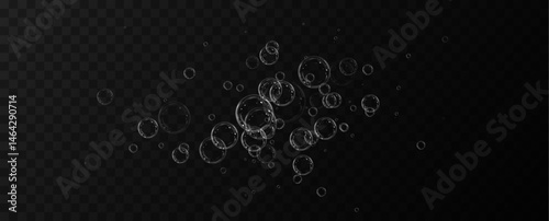 Soap bubble.Flying bubble.Vector.Background.
Soap bubbles background