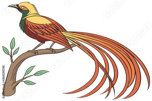 105 Exotic bird of paradise, vibrant plumage, golden head, emerald neck, ruby-red body, long flowing orange tail feathers, perched on branch, botanical illustration style, detailed feathers, crisp lin photo