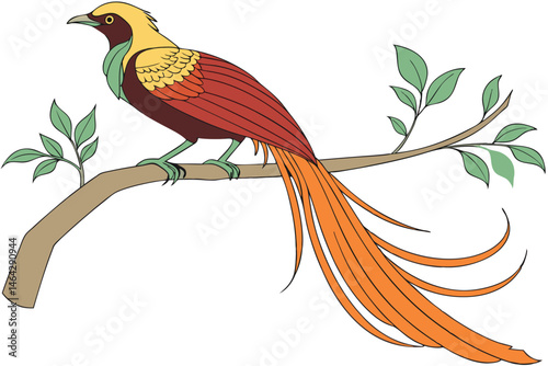 105 Exotic bird of paradise, vibrant plumage, golden head, emerald neck, ruby-red body, long flowing orange tail feathers, perched on branch, botanical illustration style, detailed feathers, crisp lin