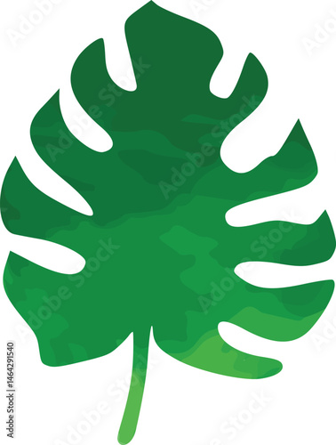vector illustration of a Leaf