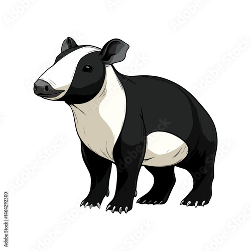 malayan tapir, animal, vector, transparent background, mammal, wildlife, zoo, large, big, nature, cute, isolated