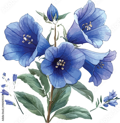 Elegant Watercolor Painting of Blue Bellflowers with Green Leaves on White Background