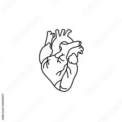 Heart Icon Representing Concepts of Human Anatomy and Cardiovascular Health