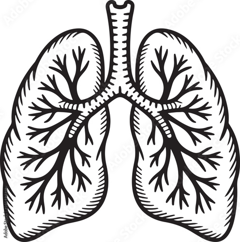 Detailed Lungs Silhouette with Bronchial Tree for Health and Breath Art