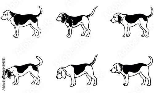 Cute Black and White Beagle Dog Illustrations