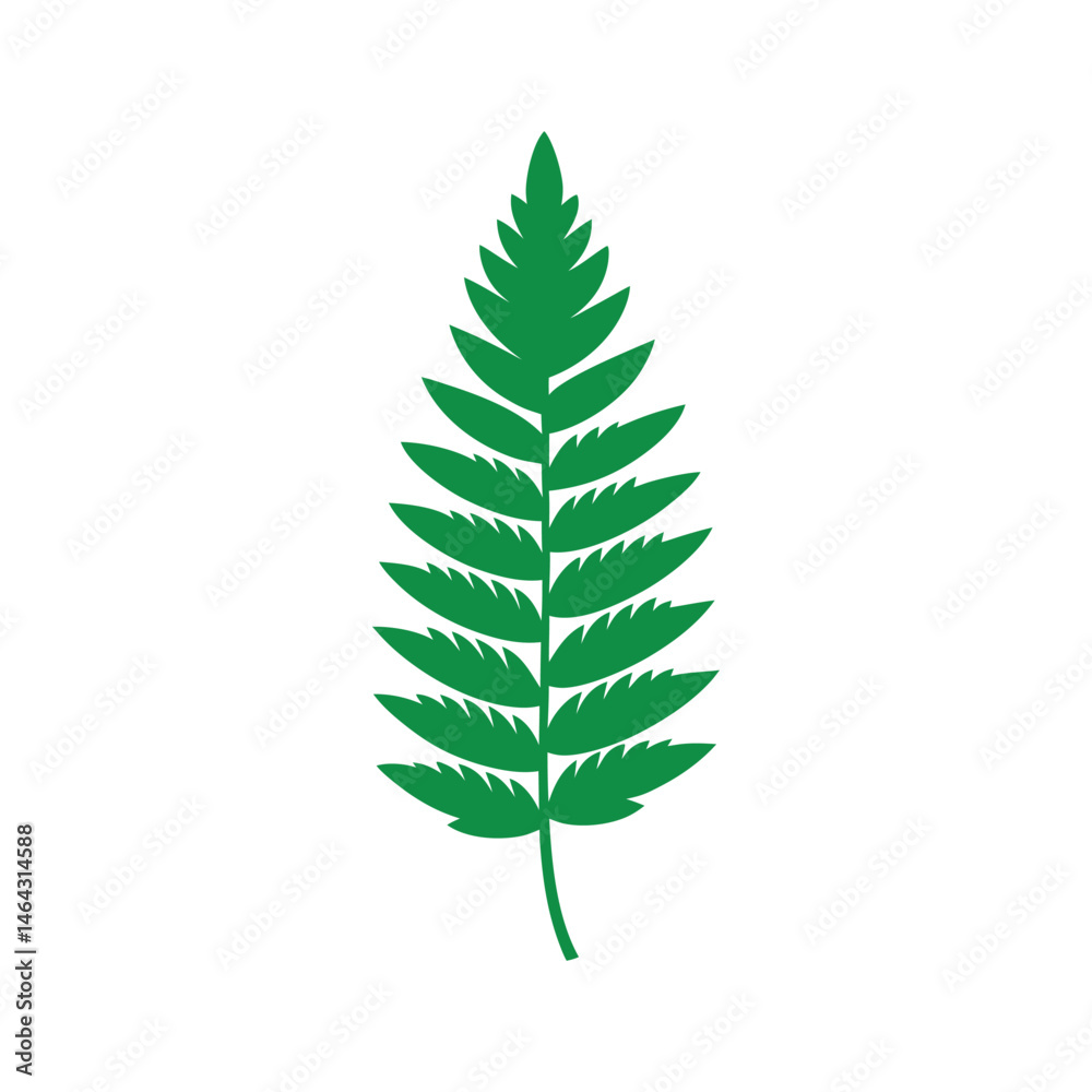 Green Fern Leaf Bold Vector on White