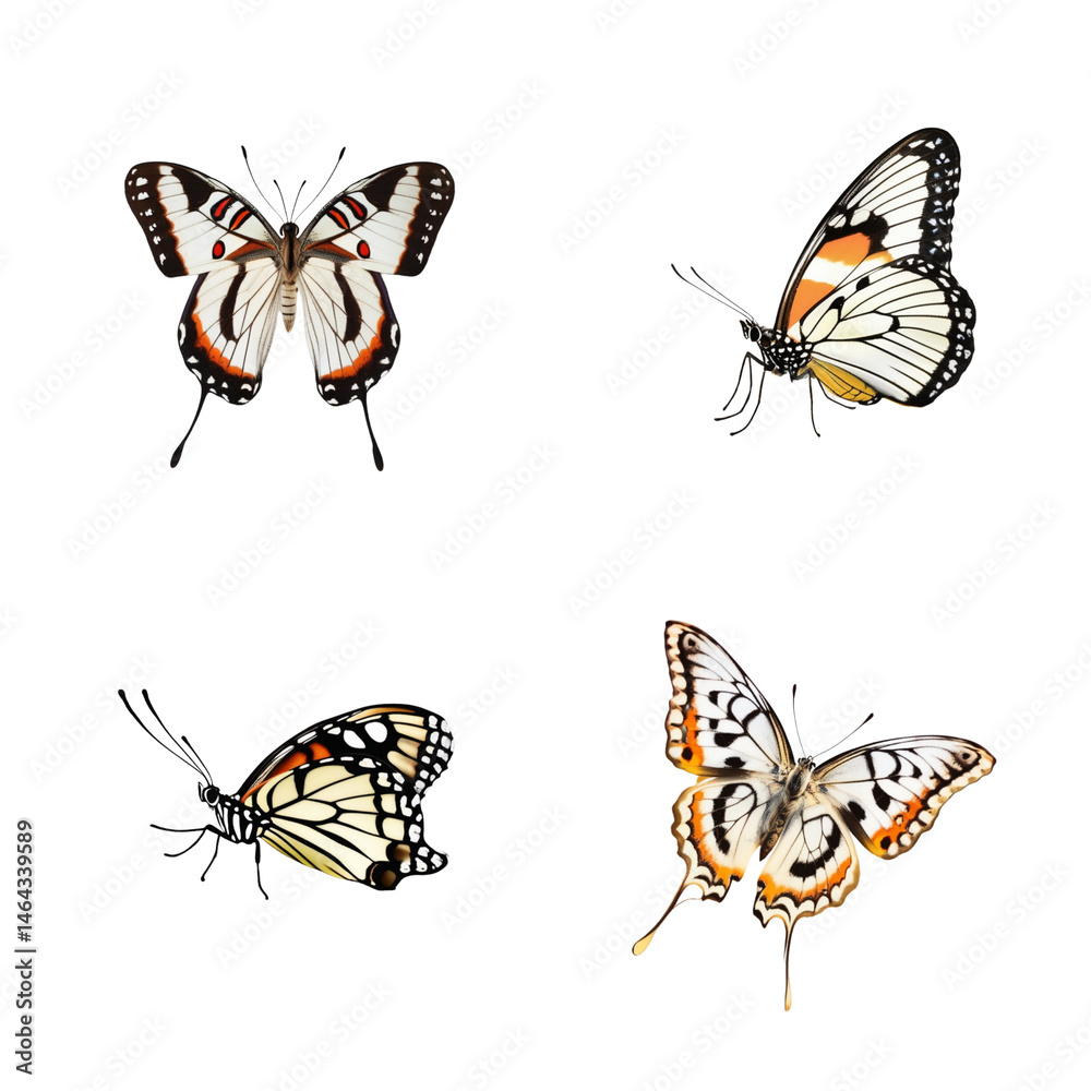Naklejka premium set of butterflies isolated on white