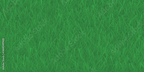 Green grass background texture .top view.