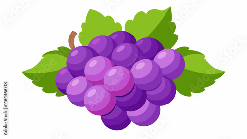 A handful of plump and juicy gs bursting with sweetness and picked straight from the vine.. Vector illustration
