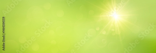 Bokeh Background on Green Summer Backdrop with Soft Blur and Light Effect. Fresh Natural Abstract Overlay with Glowing Circles and Sunlight Particles for Seasonal or Eco Design Projects