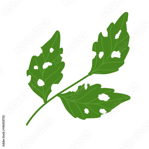 Illustration of green leaves with holes due to insect bites