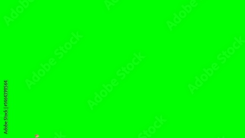4K a few cracker golden confetti animation on green screen.