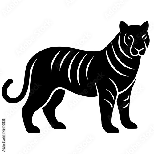 zebra vector illustration