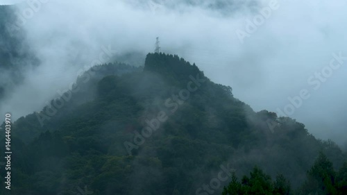 霧のかかった山の風景
