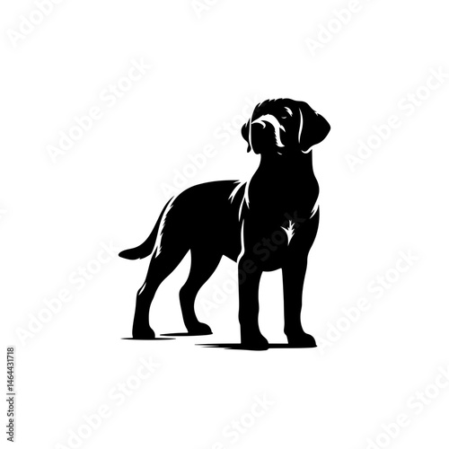 black silhouette of a dog