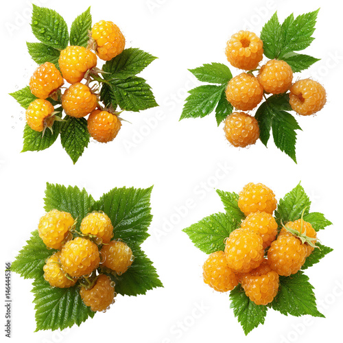 Golden Raspberries, Water Droplets, Leaves