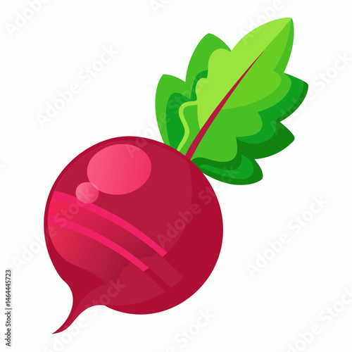 Vibrant Beetroot.  A Fresh and Healthy Root Vegetable