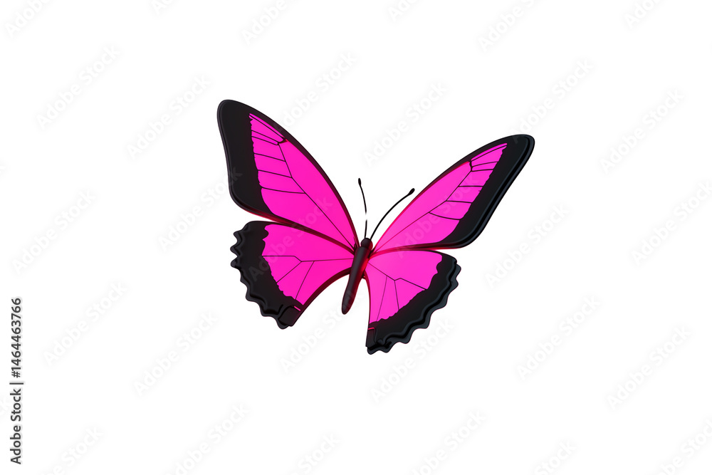 Obraz premium A vibrant pink butterfly with black-edged wings and delicate details.