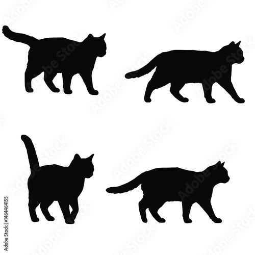 Cats walking in different positions, silhouette set vector. Adult cat silhouette collection on a white background. Beautiful domestic animals like felines and cats full body silhouette bundles.