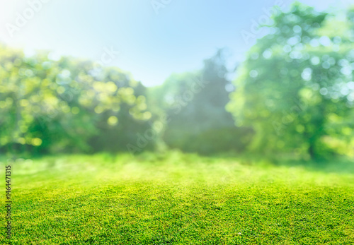 Fototapeta Naklejka Na Ścianę i Meble -  natural grass field background with blurred bokeh and sun rays