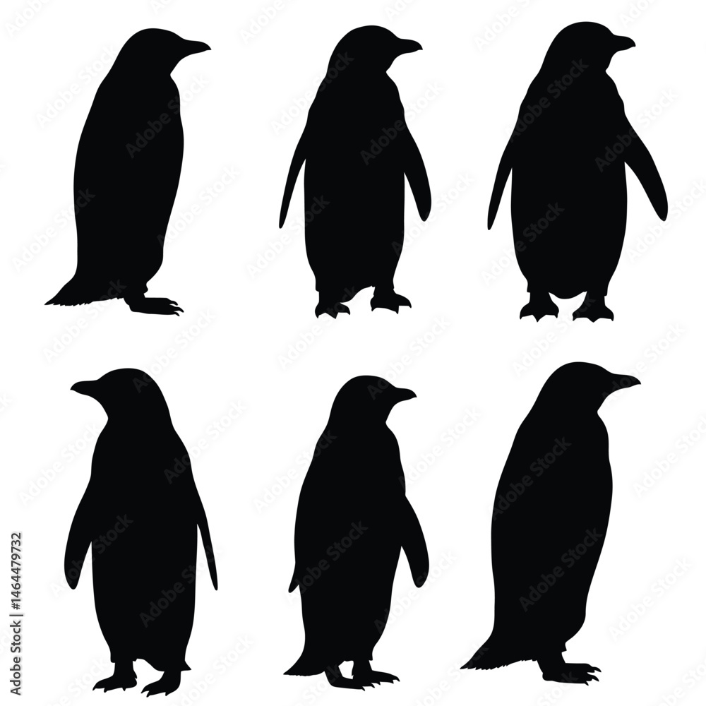 Obraz premium cute penguin silhouette vector design illustration