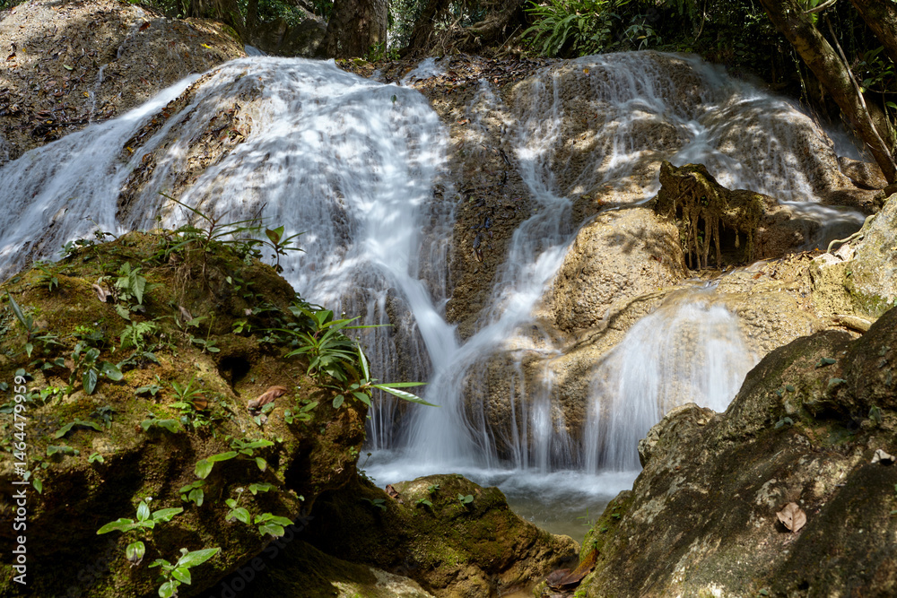 Fototapeta premium Scenic view of waterfall in tropical rainforest 