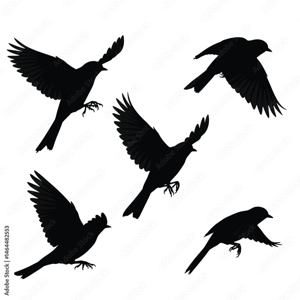 Fototapeta premium Swallows flying silhouette bundle design. Wild Swallows vector design on a white background. Beautiful bird flying silhouette set vector. small bird in different positions silhouette collection.