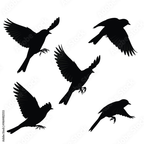 Swallows flying silhouette bundle design. Wild Swallows vector design on a white background. Beautiful bird flying silhouette set vector. small bird in different positions silhouette collection.