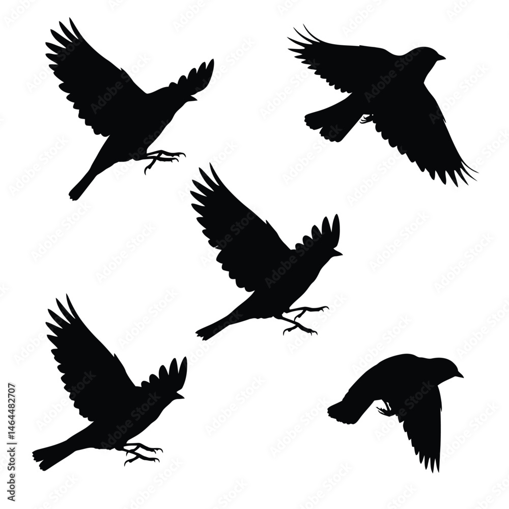 Fototapeta premium Swallows flying silhouette bundle design. Wild Swallows vector design on a white background. Beautiful bird flying silhouette set vector. small bird in different positions silhouette collection.