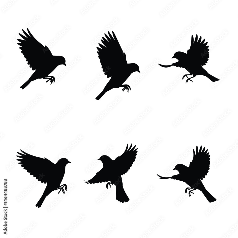 Fototapeta premium Swallows flying silhouette bundle design. Wild Swallows vector design on a white background. Beautiful bird flying silhouette set vector. small bird in different positions silhouette collection.
